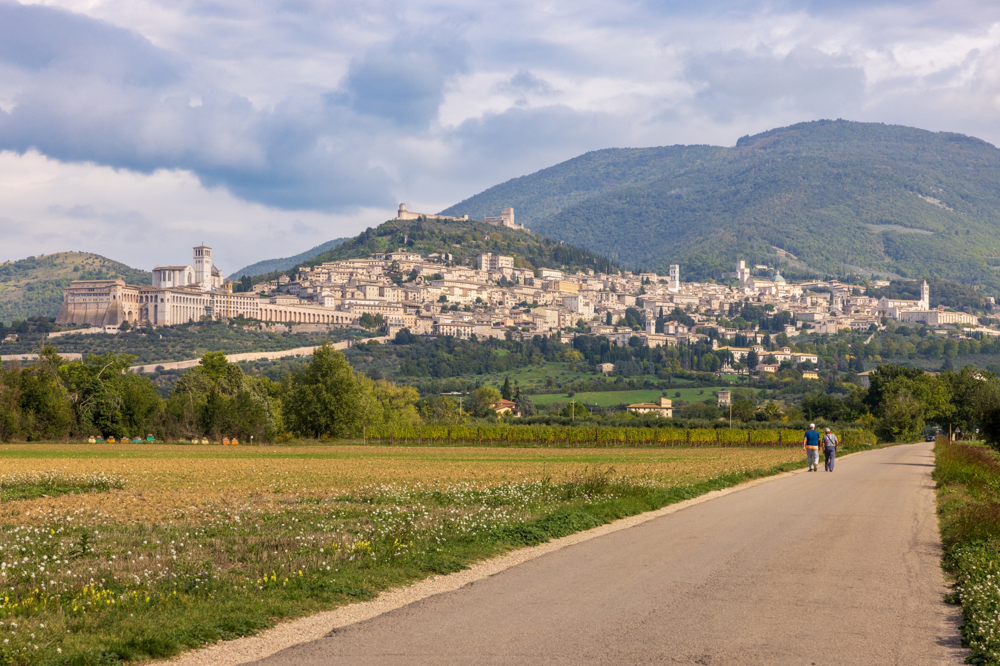 Assisi, Italy from the West.